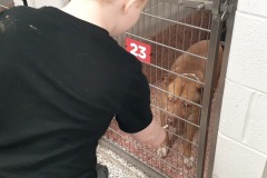 Giving Treats 1