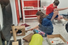 Petting Cats & Kittens 4