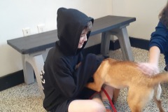 Playing With Puppy 1