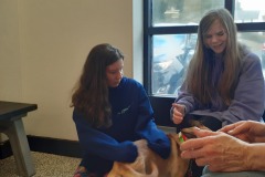 Playing With Puppy 2