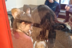Playing With Puppy 3