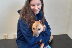 Playing With Puppy 4