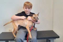 Playing With Puppy 5